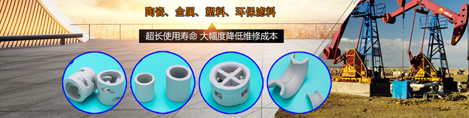 萍鄉拉西環廠家